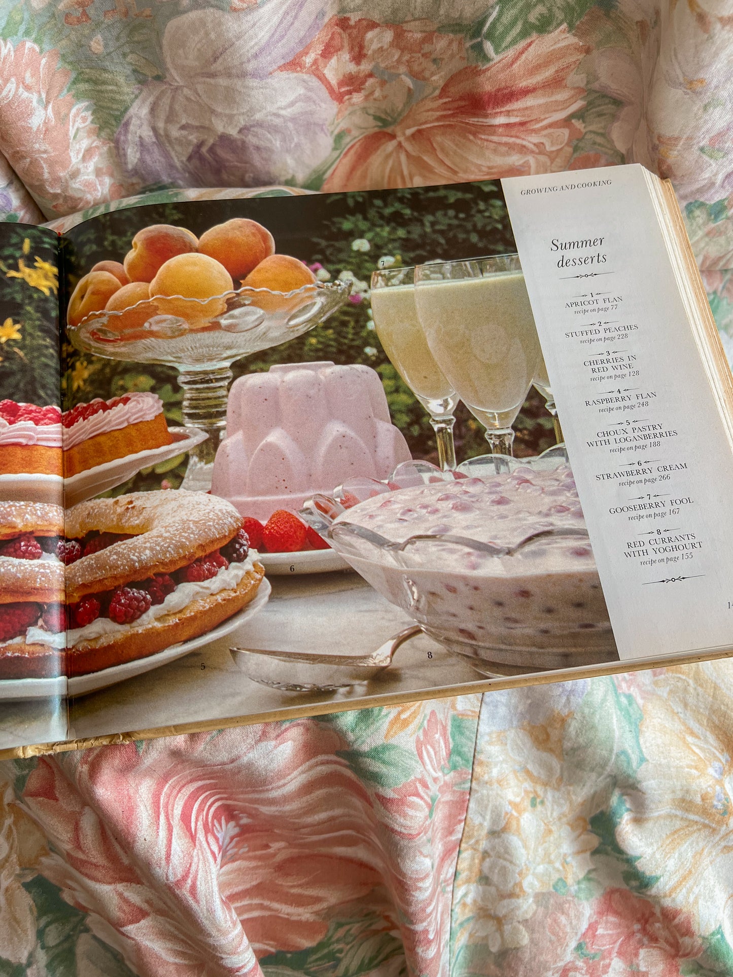 A vintage 1977 ‘Food from your Garden’ book.