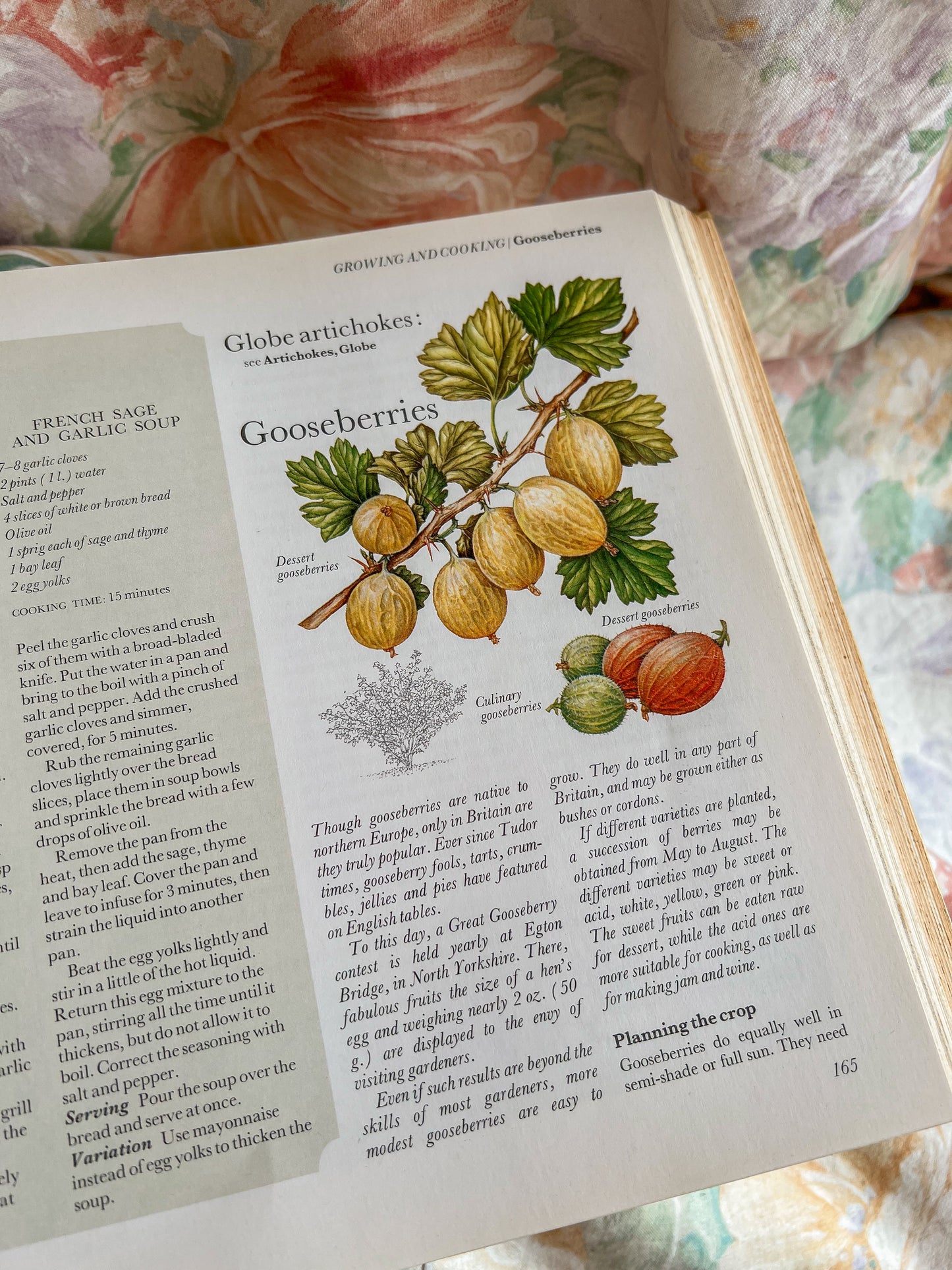 A vintage 1977 ‘Food from your Garden’ book.
