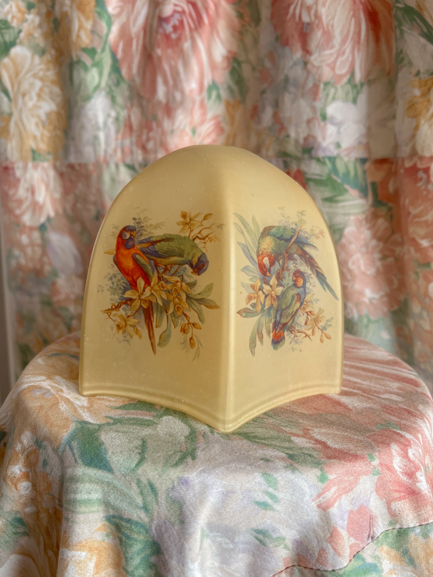 A 1930’s bird glass light shade.