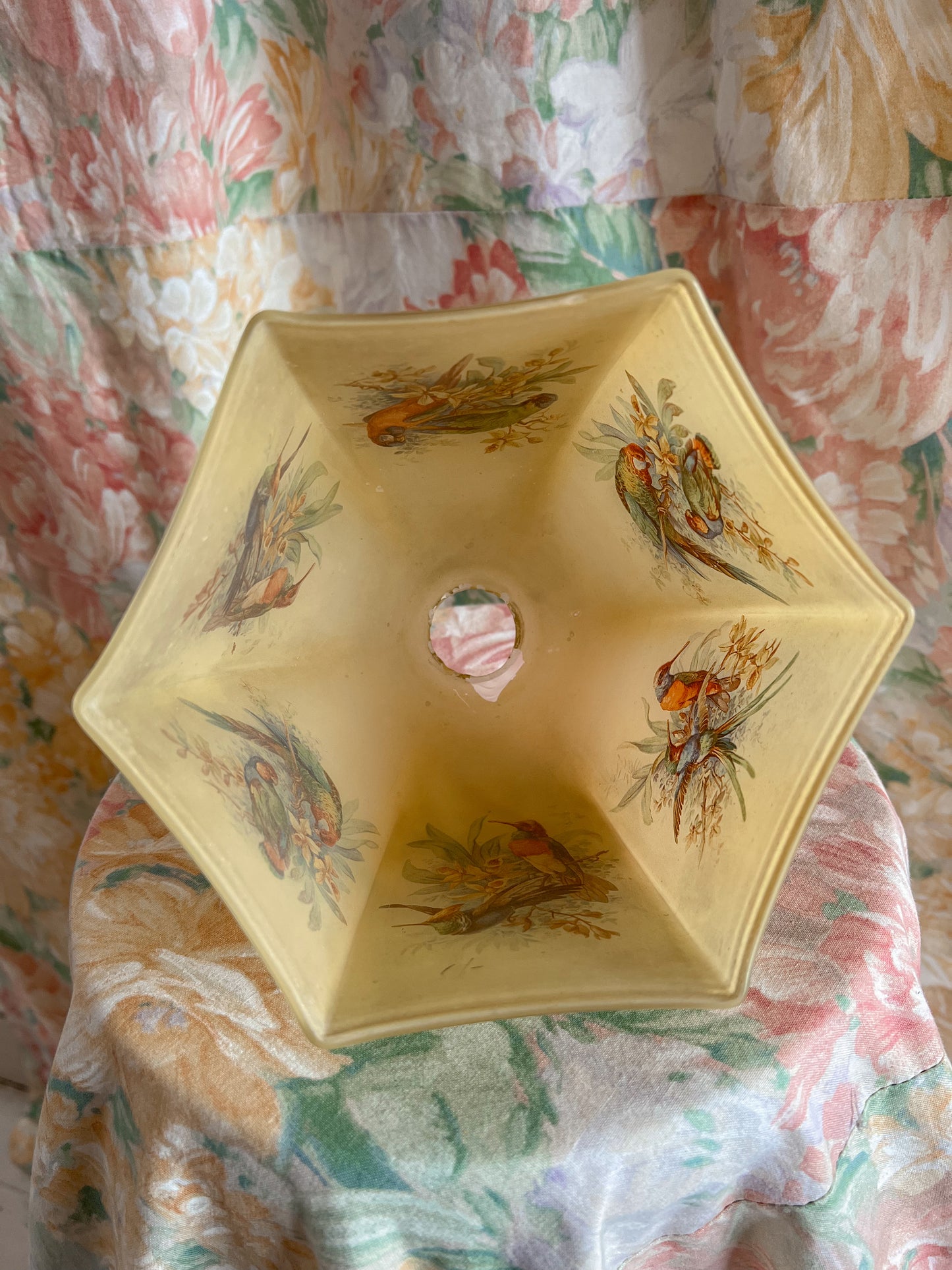 A 1930’s bird glass light shade.